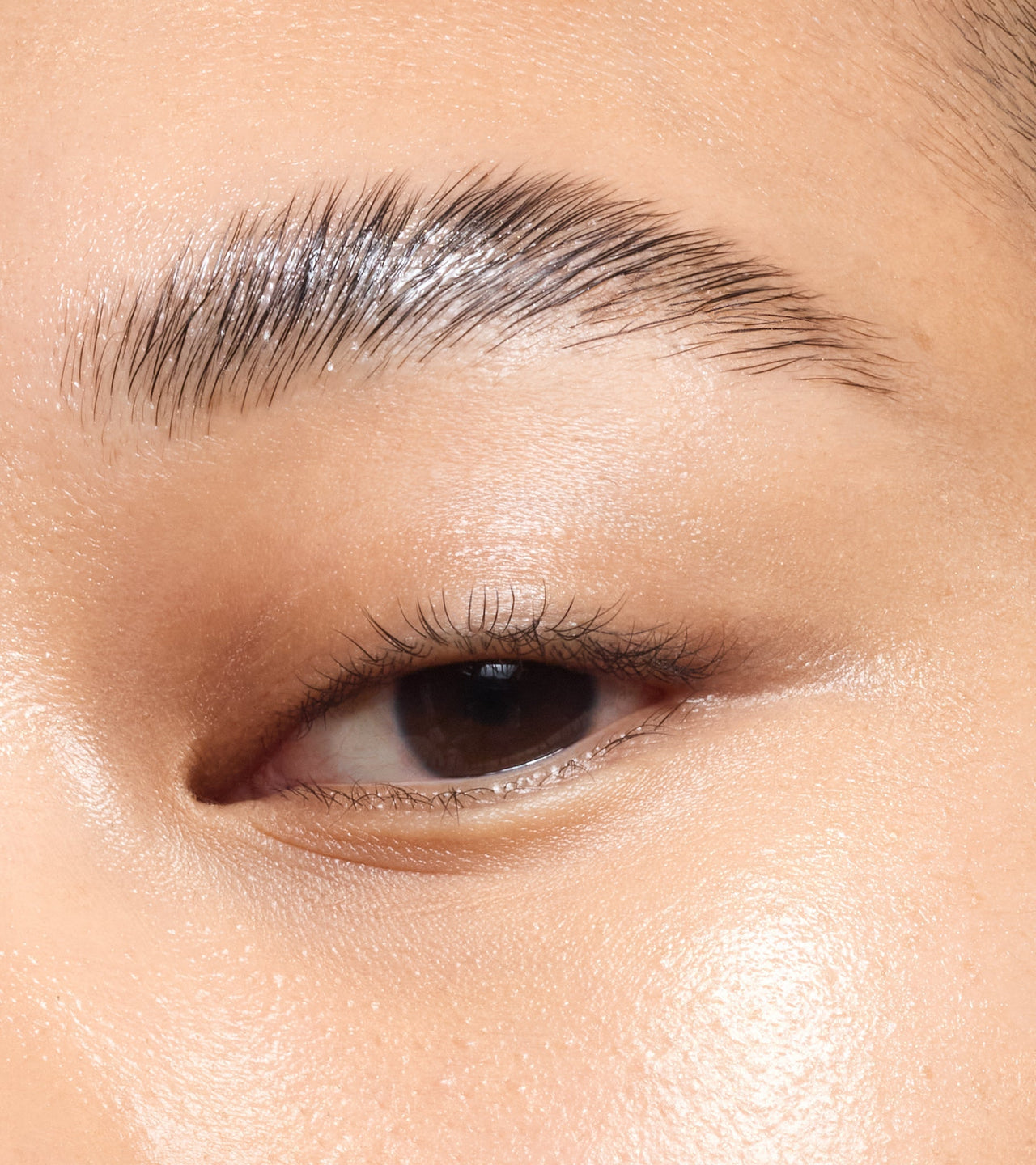 Macro shot of brow hairs styled with ISAMAYA Browlacq