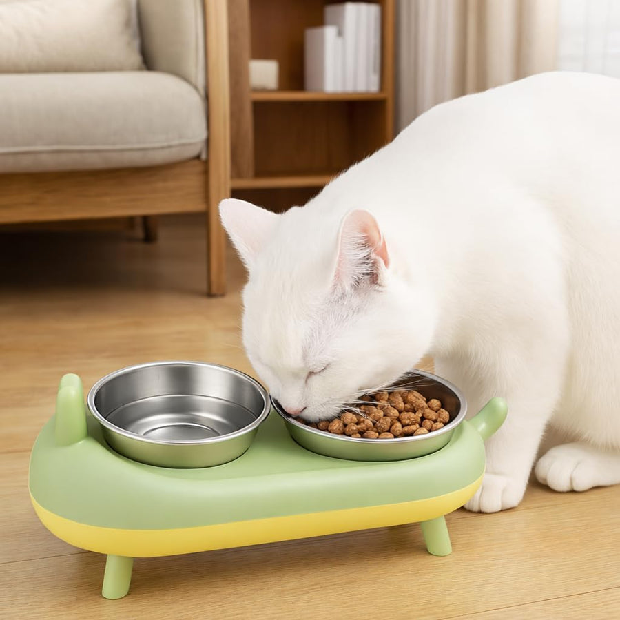 15° Elevated Cat Food Bowls For Cats & Small Dogs - Purple