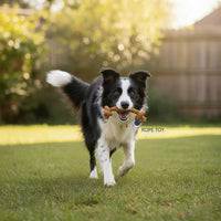 Coffee Wood Dog Chew Triple Pack with Coco Husk Rope Toy - Medium Dog