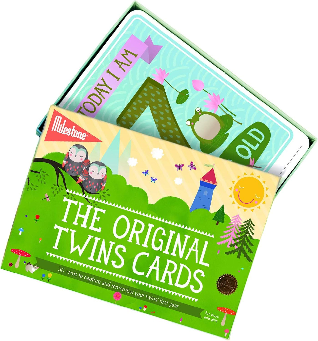 Milestone Baby Cards Twins