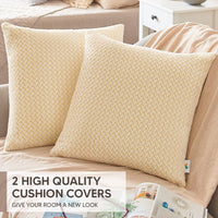 Thumbnail for PAULEON Cushion Covers 2 Pack - 50x50cm Champagne