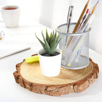 Thumbnail for Arteza Natural Wood Art Slices - 8 Pieces (20-23cm Diameter)