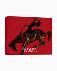 ISAMAYA Wild Star Collection Set packaging box