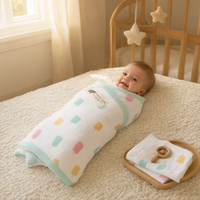 Monica + Andy Double Layer Coming Home Swaddle Blanket - Ice Cream