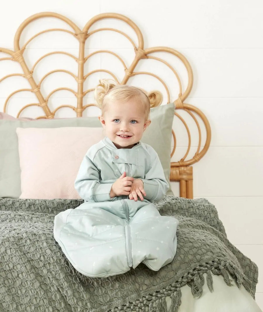 Ergo Pouch Sleep Suit Bag - 2.5 TOG, 3-12M (Sage)