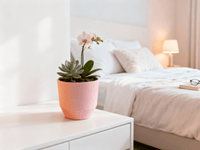 Thumbnail for Ceramic Pink Pot - Fits up to 12cm Plant Pots - liquidation.store