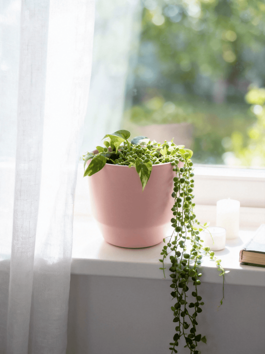 Ceramic Pink Pot - Fits up to 12cm Plant Pots - liquidation.store