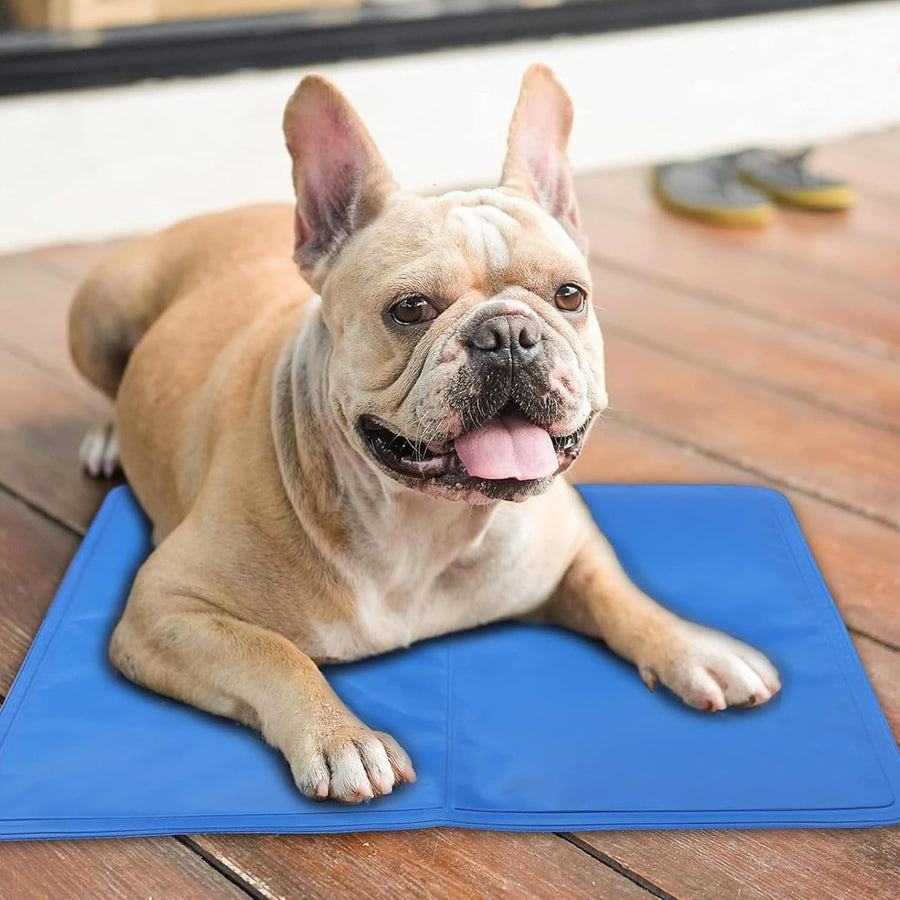 Cooling Gel Pillow - Medium (30x40 CM) - liquidation.store