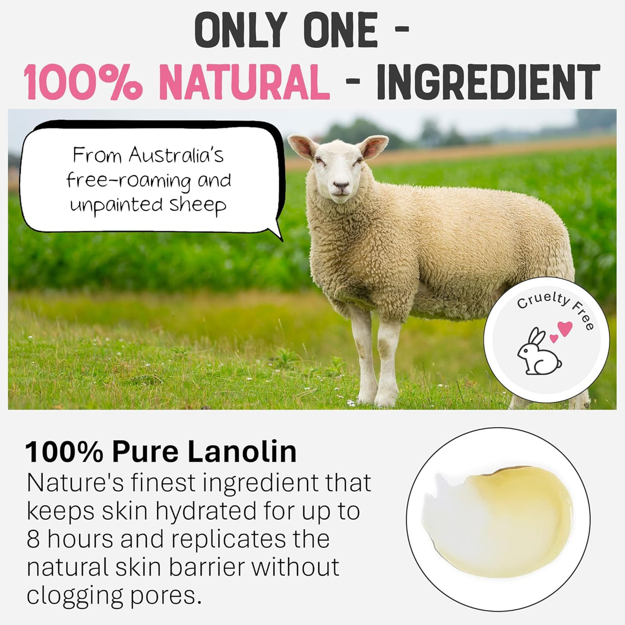 DR. LIPP Nipple Balm for Dry Skin, Luscious Lips & Glossy Bits - 6 Pack - liquidation.store