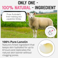 Thumbnail for DR. LIPP Nipple Balm for Dry Skin, Luscious Lips & Glossy Bits - 6 Pack - liquidation.store