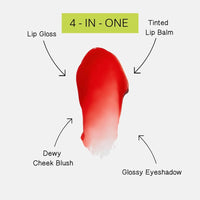 DR.LIPP Superfood Red Radish Tint - 4 - In - ONE (Lip, Cheek & Eye) - liquidation.store