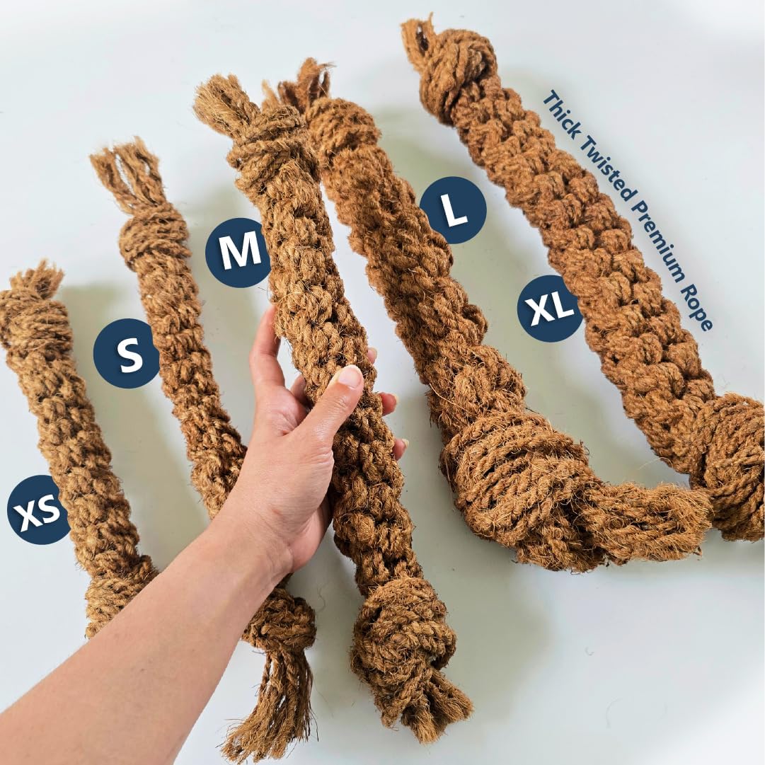 EcoChoo Cinnamon Wood Dog Chew & Thick Twisted Premium Rope Toy - Medium Dogs - liquidation.store