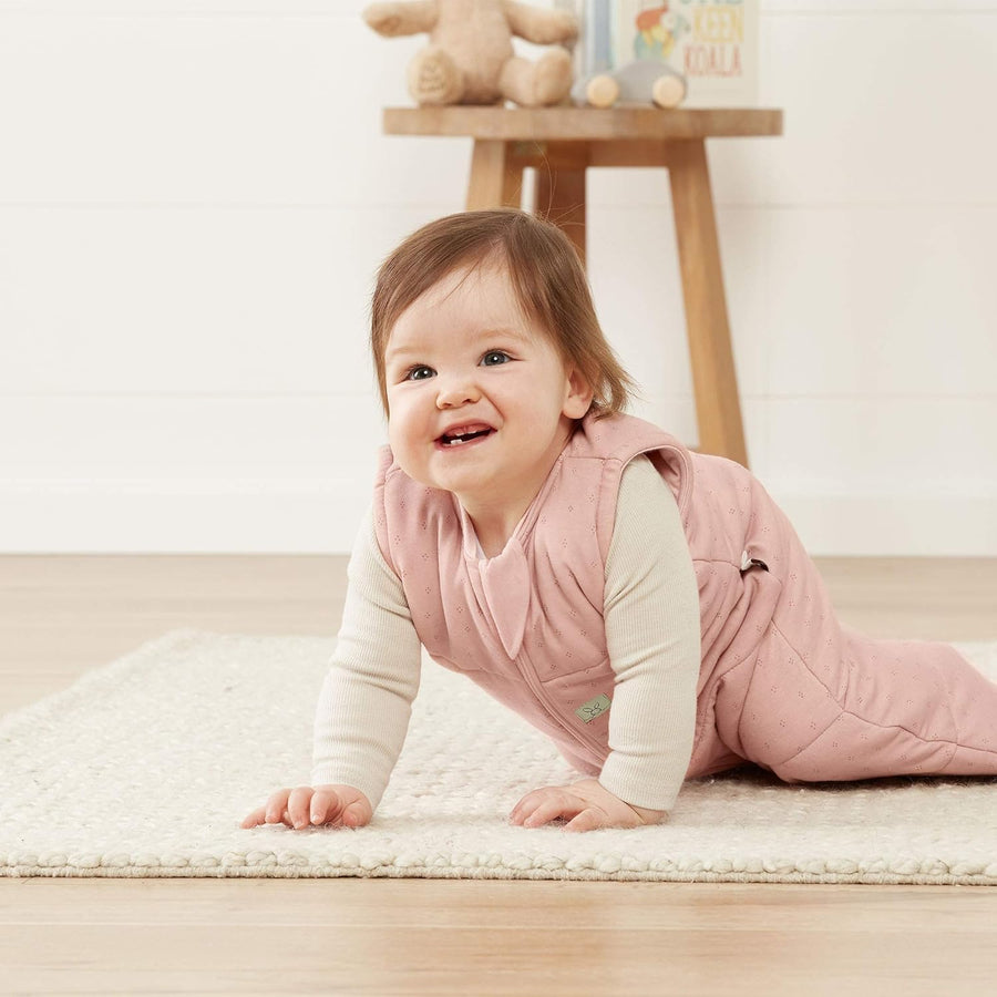 ergoPouch Winter Jersey Sleeping Bag - Berries 2.5 TOG (3 - 12 Months) - liquidation.store