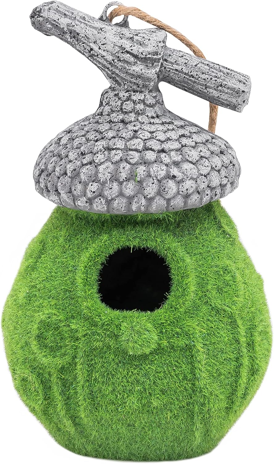Globrite Hanging or Mounted Acorn Bird Feeder - liquidation.store