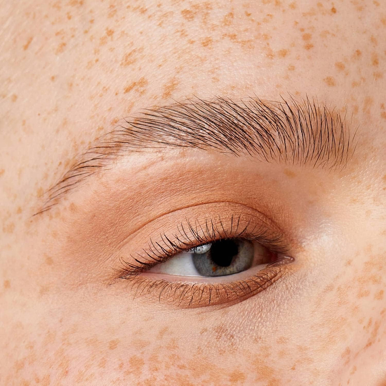 Illamasqua Eye Paint Longwear Liquid Shadow - Lavender Brew - liquidation.store