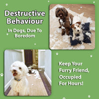 Thumbnail for Indestructible Dog Rope Toys (2 Pack) - Small to Medium Dog - liquidation.store