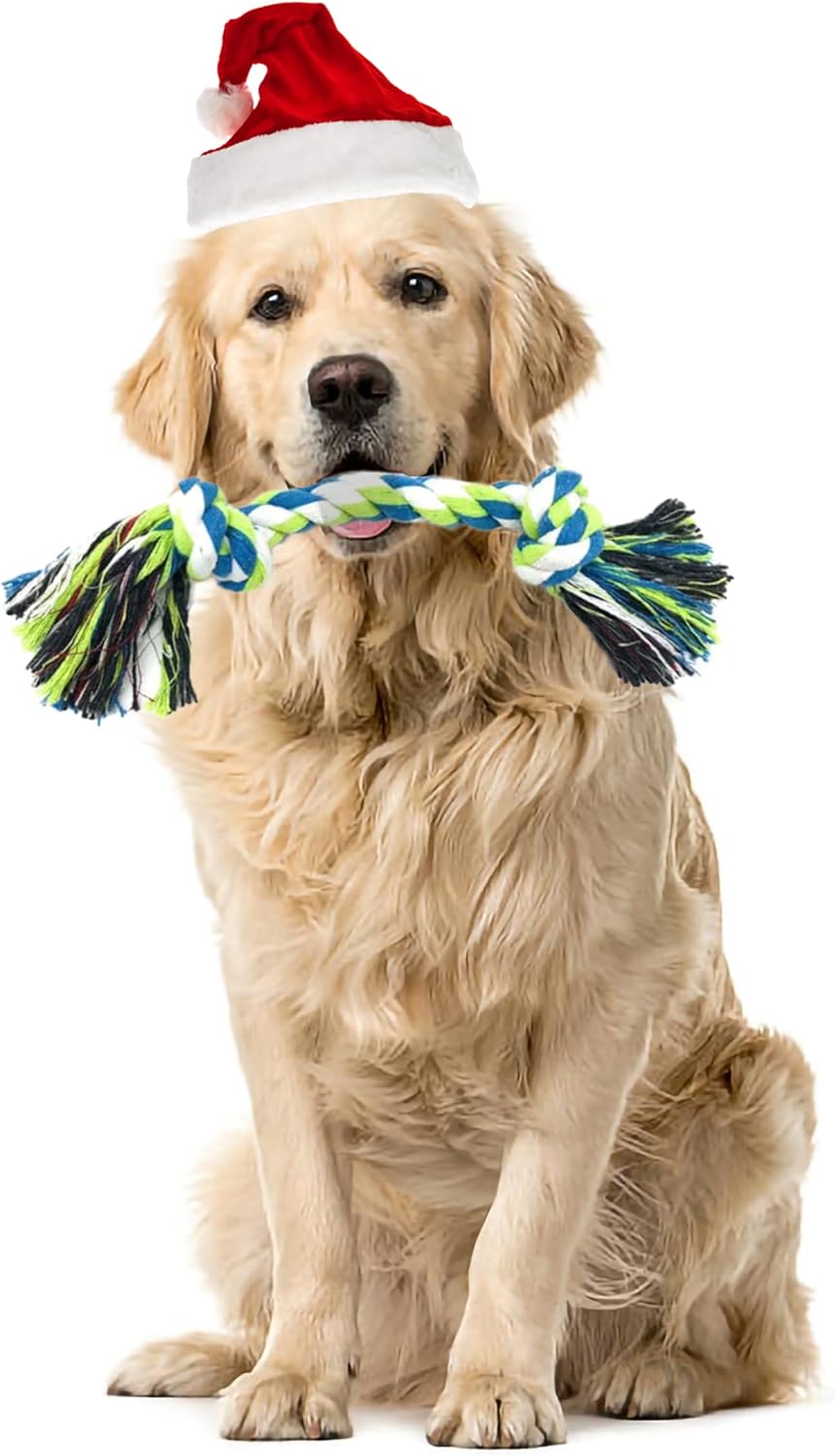Indestructible Dog Rope Toys (2 Pack) - Small to Medium Dog - liquidation.store