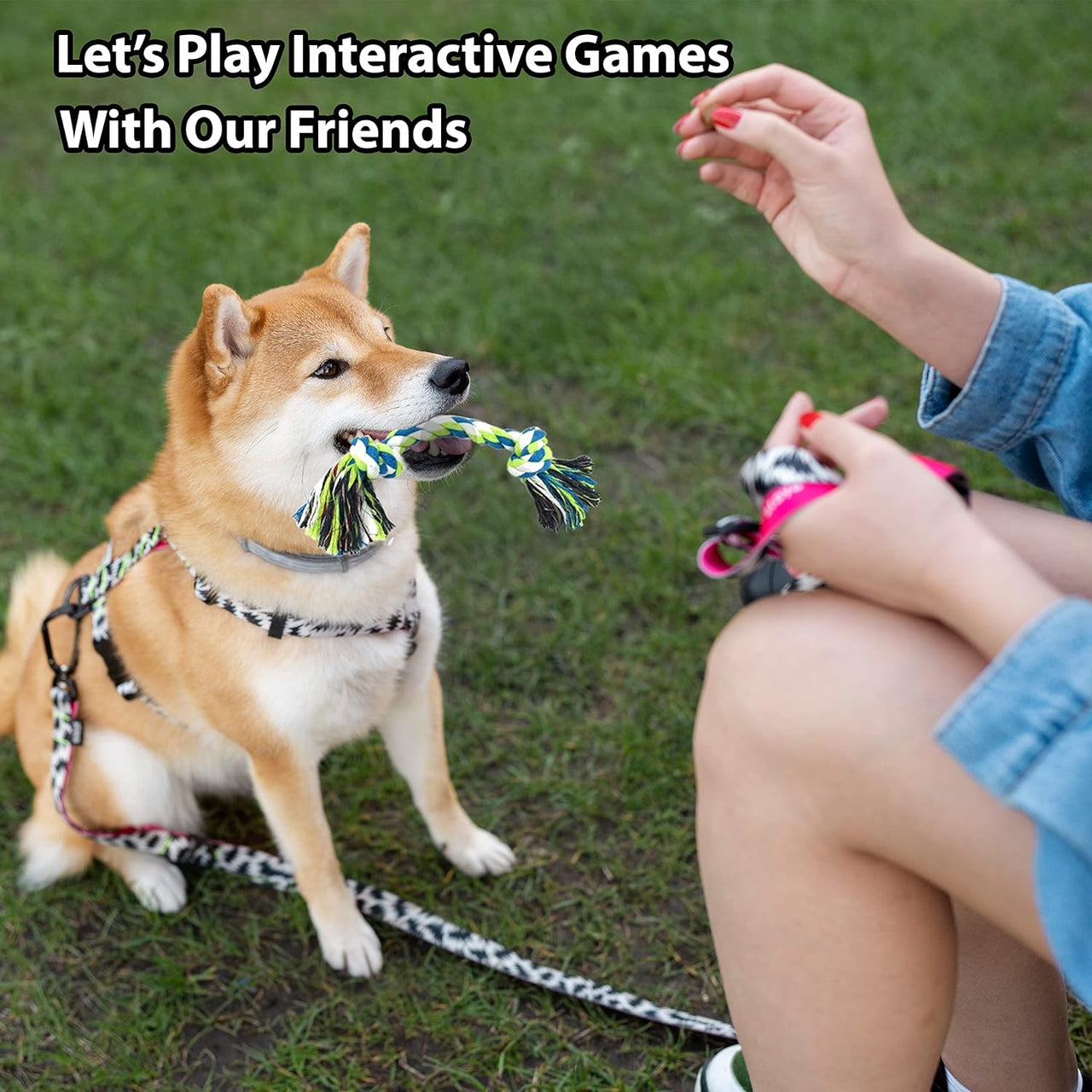 Indestructible Dog Rope Toys (2 Pack) - Small to Medium Dog - liquidation.store