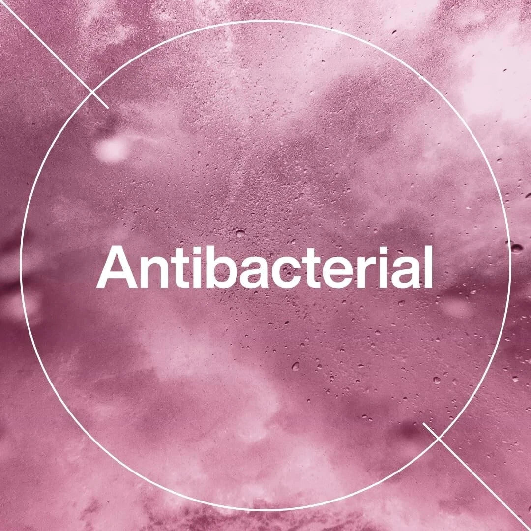 INEOS Liquid Moisturising Handsoap Aloe Vera & Citronnelle 250ml x 6 - liquidation.store