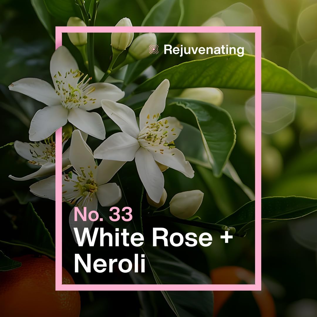 INEOS Moisturising Antibacterial Handwash White Rose & Neroli 250ml (6 Bottles) - liquidation.store