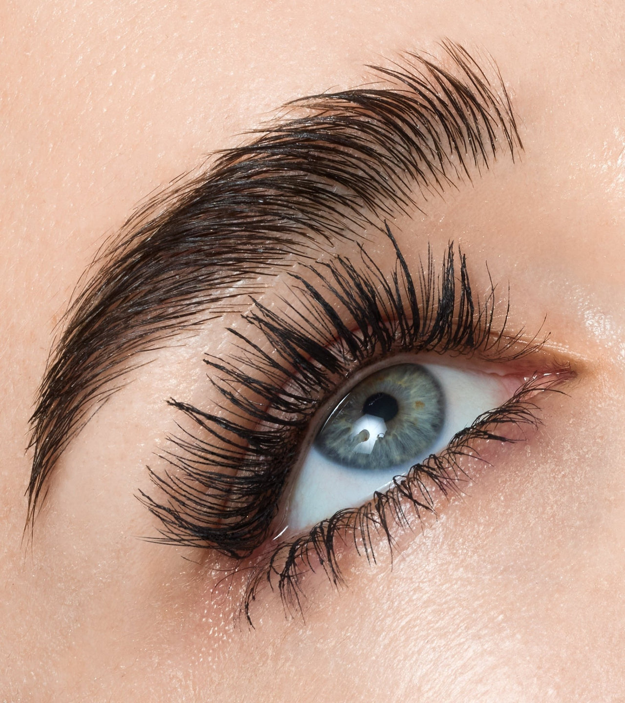 ISAMAYA Rubberlash - liquidation.store
