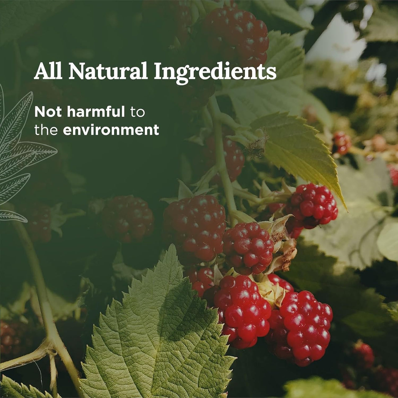 Magnificent 101 Aries Zodiac Sign Scented Soy Wax Candle (Raspberry & Chocolate) - liquidation.store