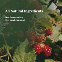 Thumbnail for Magnificent 101 Aries Zodiac Sign Scented Soy Wax Candle (Raspberry & Chocolate) - liquidation.store