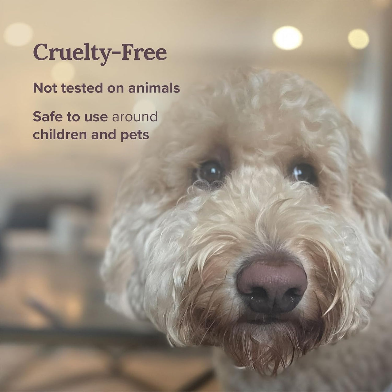 Magnificent 101 Aries Zodiac Sign Scented Soy Wax Candle (Raspberry & Chocolate) - liquidation.store