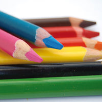 Micador Jumbo Triangle Pencils 12 Colours (3+YRS) - liquidation.store