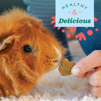Oxbow Simple Rewards Baked Treats with Cranberry – Small Animal Treats - liquidation.store