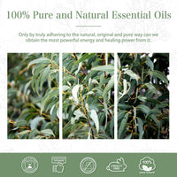 Thumbnail for PHATOIL Eucalyptus Essential Oil For Aromatherapy & Diffuser - 100ml - liquidation.store