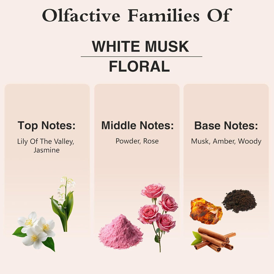 PHATOIL White Musk Fragrance Oil for Aromatherapy & Diffuser - 100ml - liquidation.store