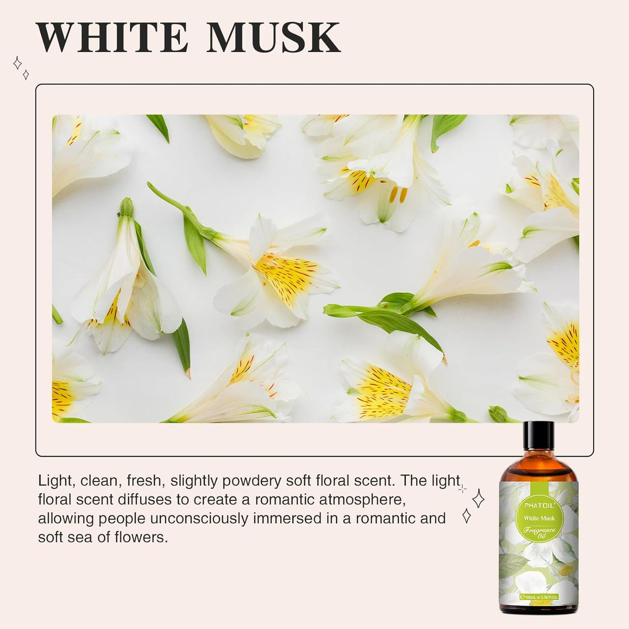 PHATOIL White Musk Fragrance Oil for Aromatherapy & Diffuser - 100ml - liquidation.store