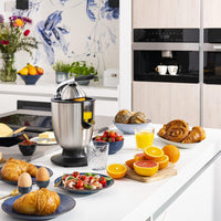 Thumbnail for Princess Professional Master Juicer - 160W Stainless Steel - liquidation.store