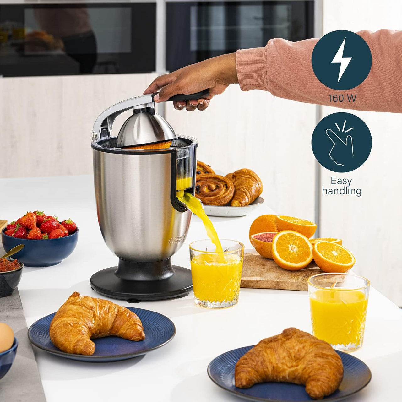 Princess Professional Master Juicer - 160W Stainless Steel - liquidation.store