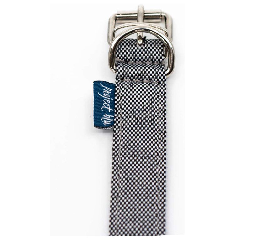 Project Blu Adriactic Grey Dog Collar - liquidation.store