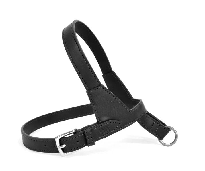 Project Blu Amalfi Black Leather Dog Harness - Medium - liquidation.store