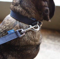 Thumbnail for Project Blu Elbe Black Dog Collar - XS - liquidation.store