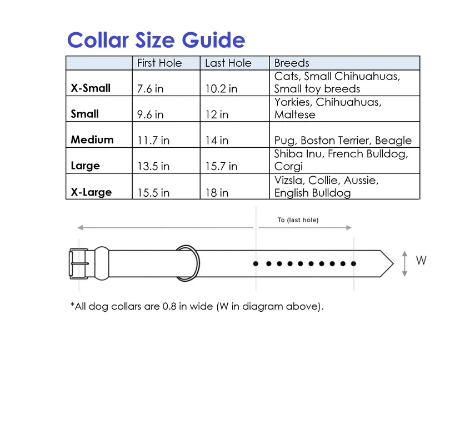 Project Blu Eleather + Duratex Black Dog Collar - Medium 30-36cm - liquidation.store