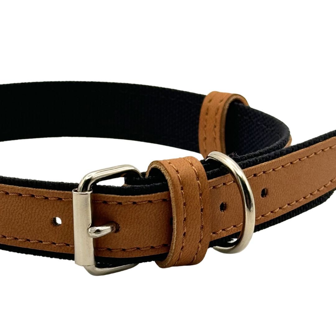 Project Blu Florence Collar (Tan) - liquidation.store