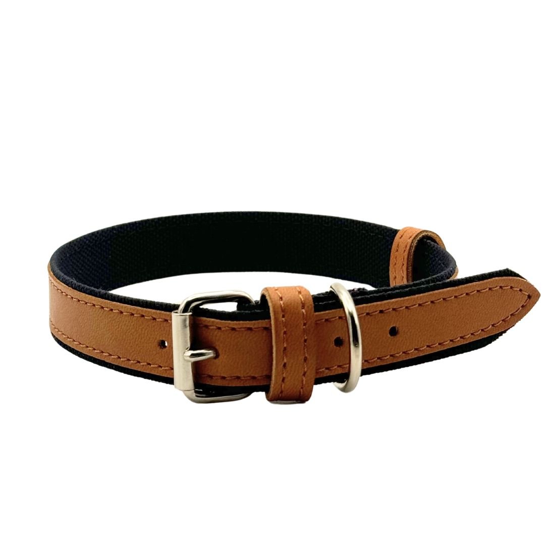 Project Blu Florence Collar (Tan) - liquidation.store