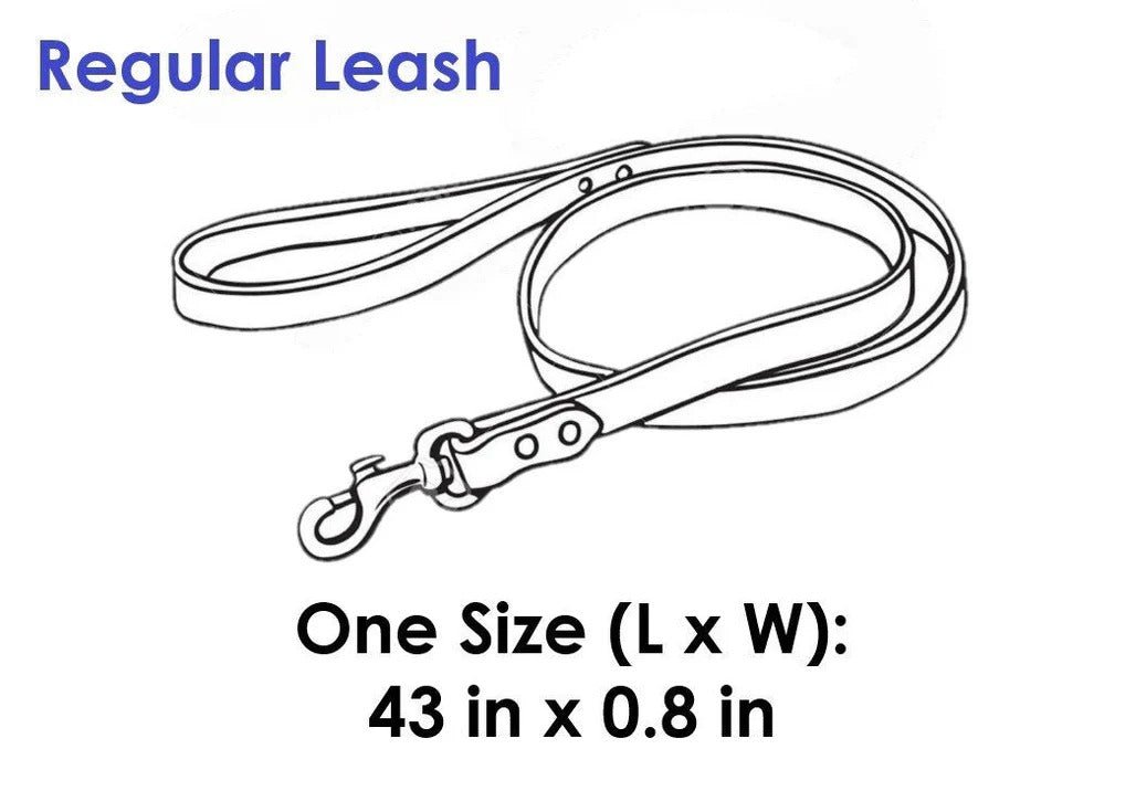 Project Blu Laguna Blue Leather Dog Leash 110 cm X 2.0 cm - liquidation.store