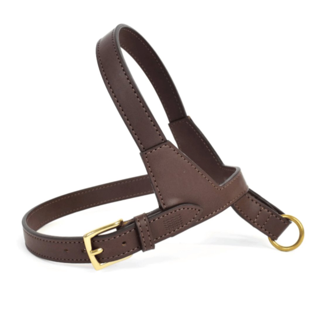 Project Blu Lucca Dark Brown Leather Dog Harness - liquidation.store