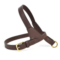 Thumbnail for Project Blu Lucca Dark Brown Leather Dog Harness - liquidation.store
