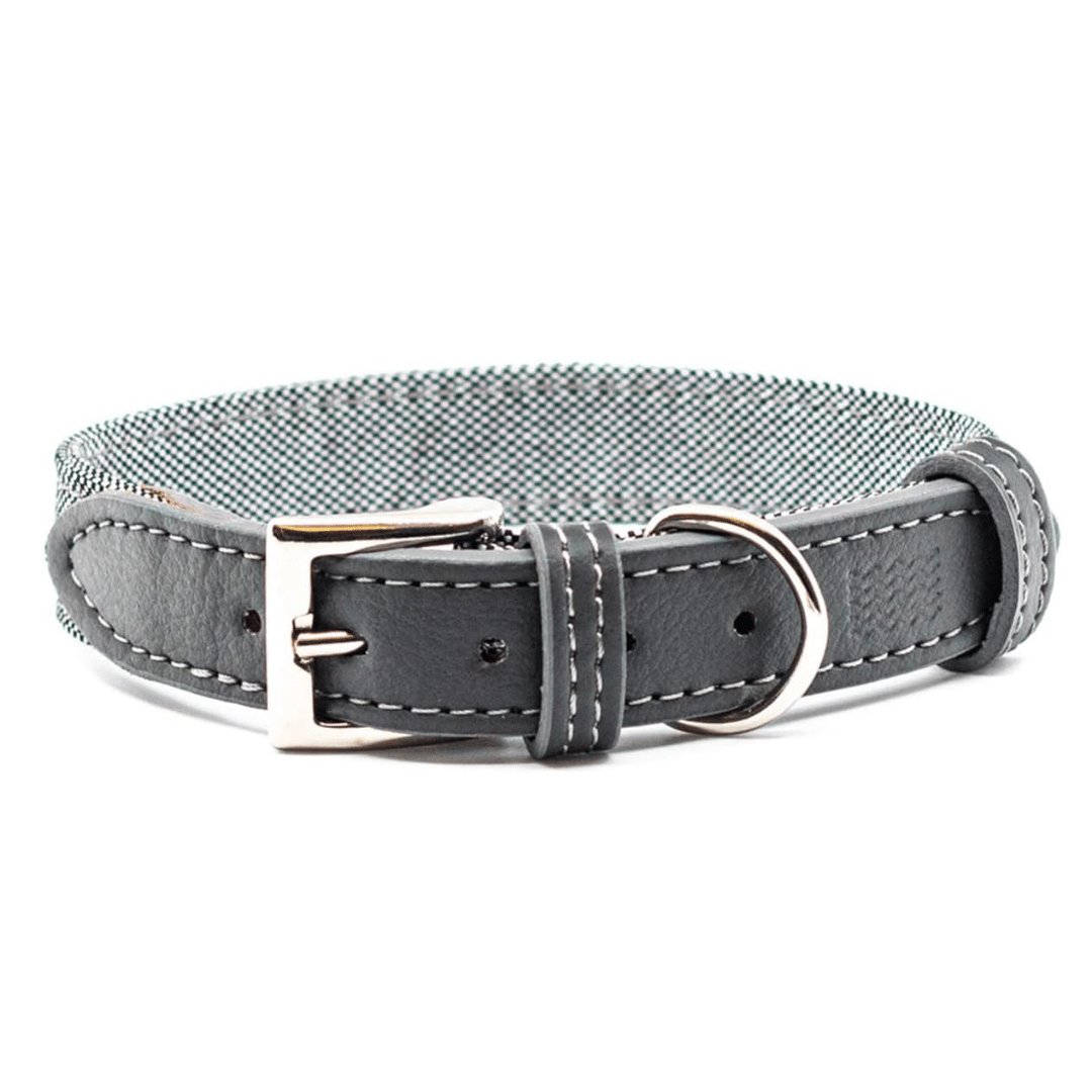 Project Blu Madison Grey Leather Nylon Dog Collar - liquidation.store