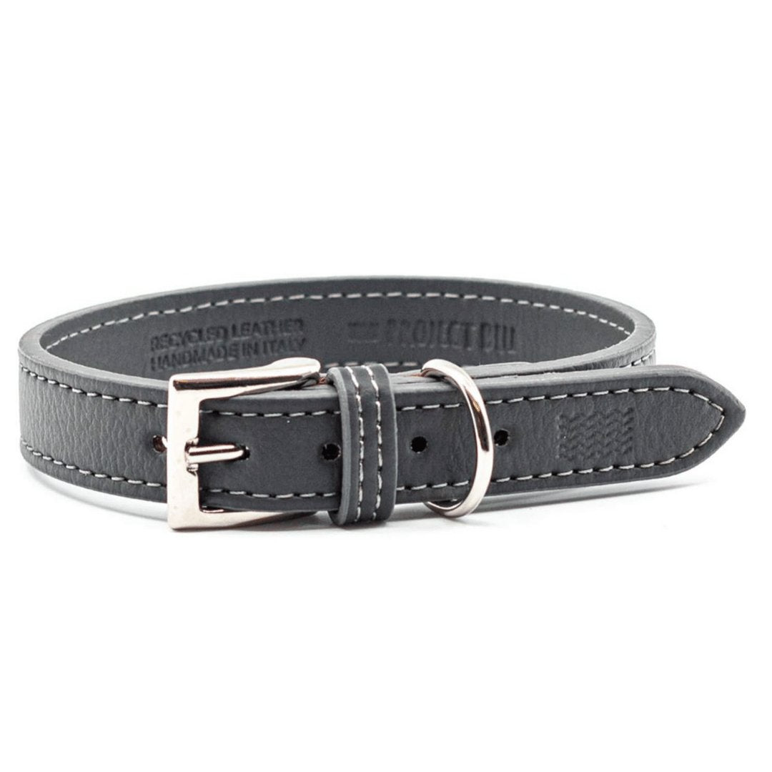 Project Blu Malibu Grey Leather Collar XL - liquidation.store