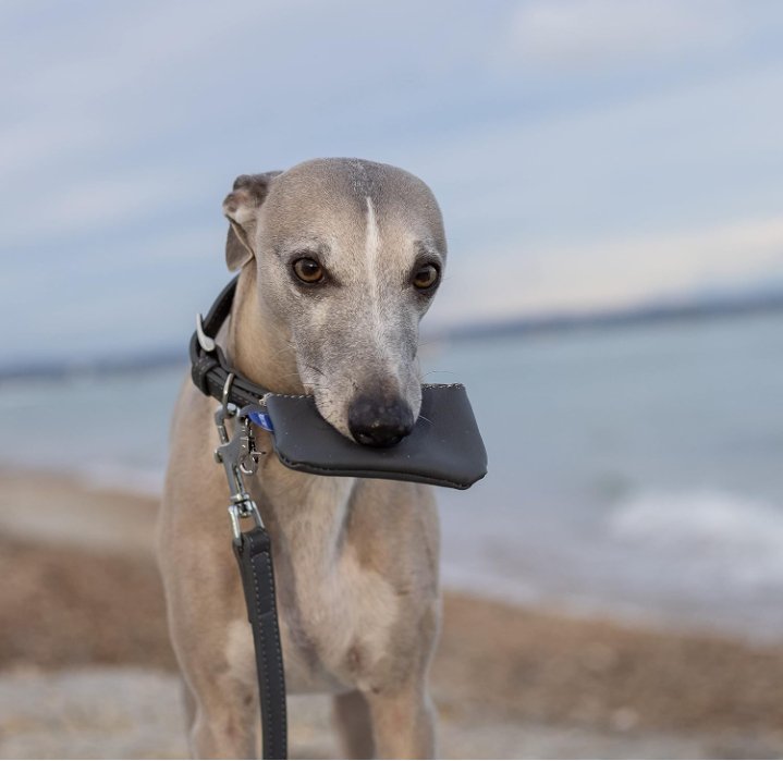 Project Blu Malibu Grey Leather Dog Poop Bag Holder - liquidation.store