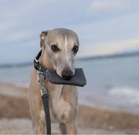 Thumbnail for Project Blu Malibu Grey Leather Dog Poop Bag Holder - liquidation.store