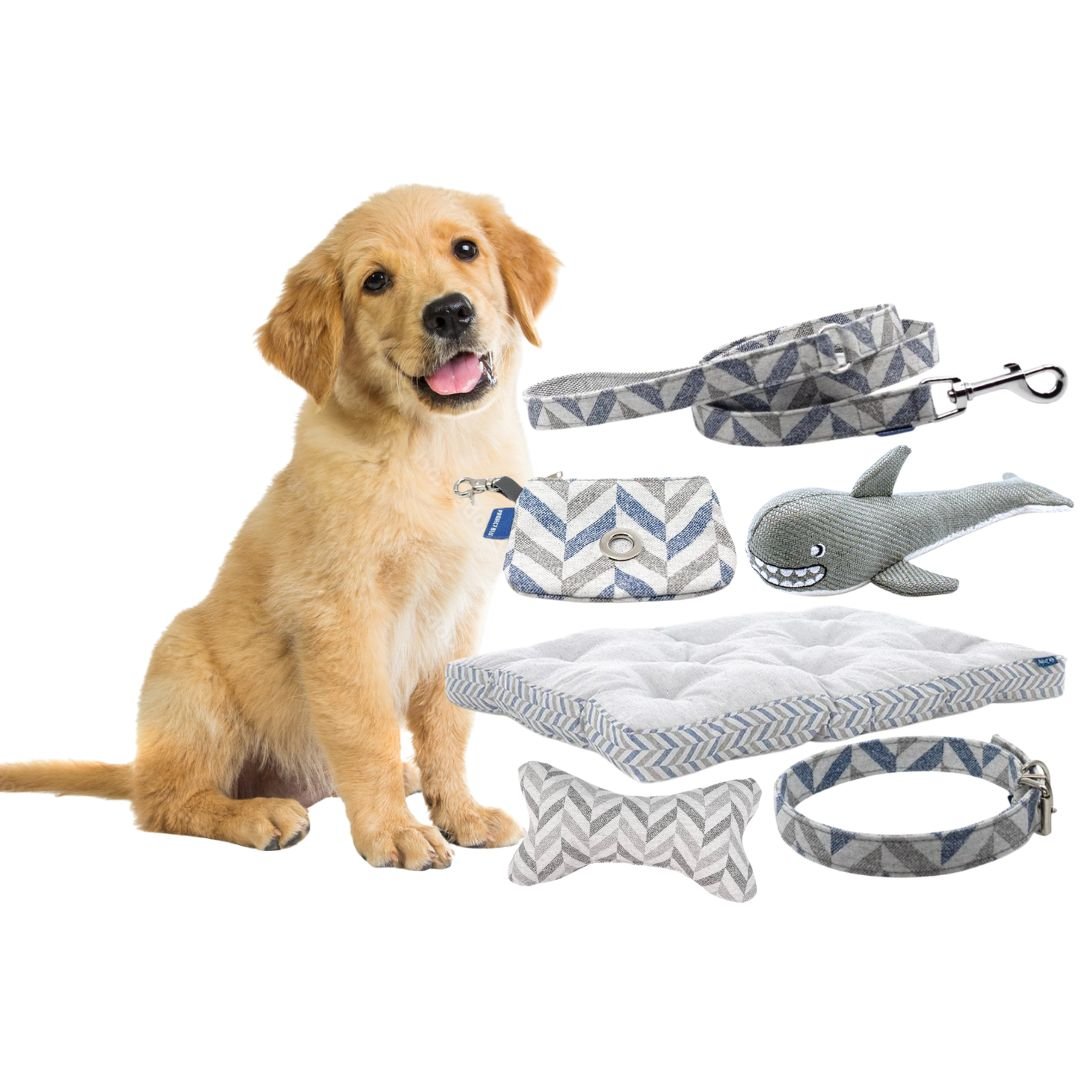 Project Blu Puppy Starter Pack - Blue/Grey - liquidation.store