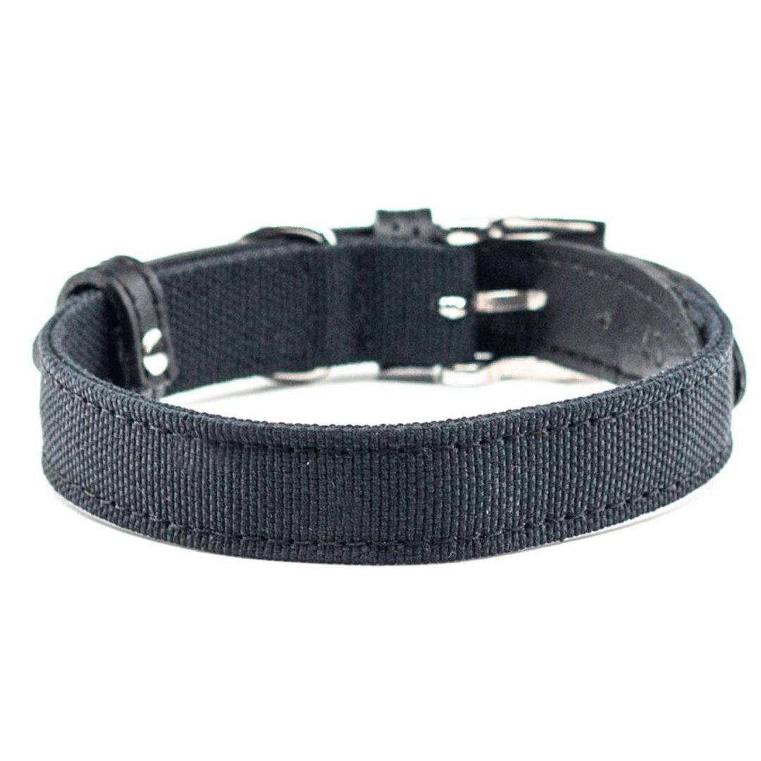 Project Blu Santorini Black Leather Collar - liquidation.store